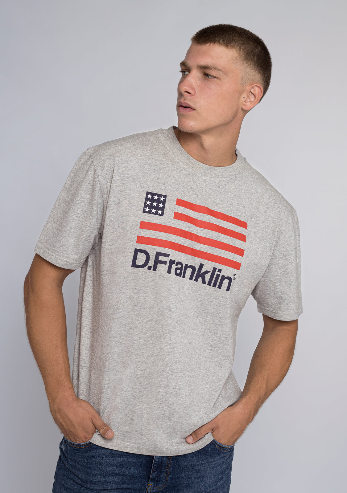 T-Shirt D.Franklin Flag Grey