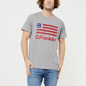USA T-Shirt Grey