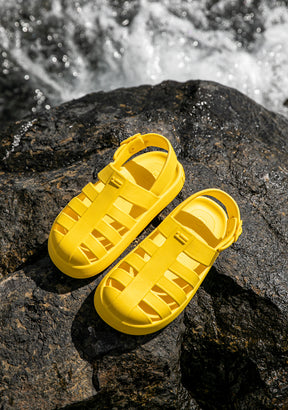 Bloomer BS Yellow